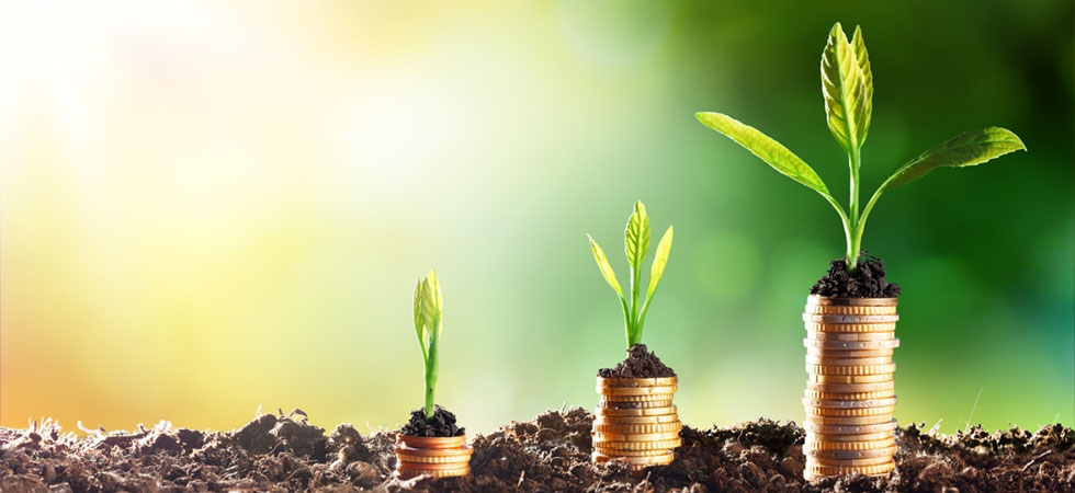 Growth Strategy Formulation & Business Planning