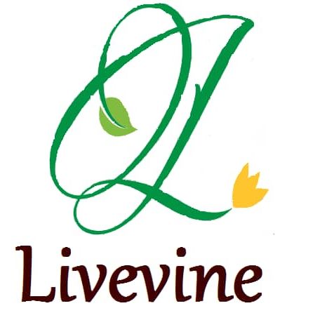 Livevine Investment PBC Livevine Investment PBC