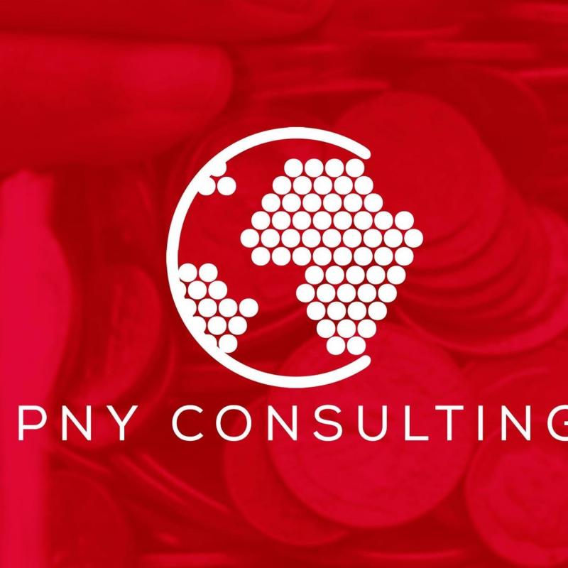 Naim Tax Consulting (Pvt) Limited t/a PNY Consulting