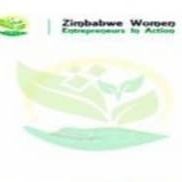 Zimbabwe Entrepreneurs in Action