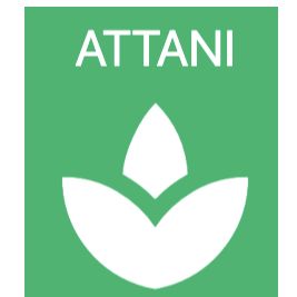 Attani Incorporated Pvt Ltd