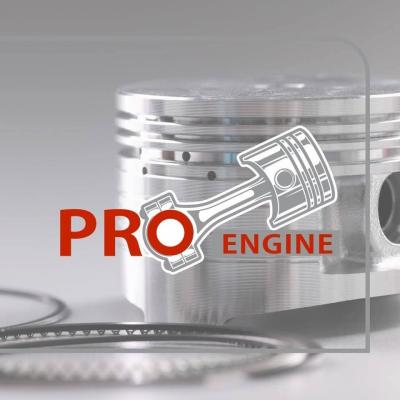 Proengine (Pbc)