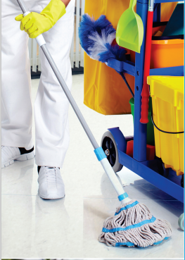 Cleaning Services