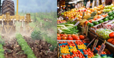 AGRICULTURAL LOANS