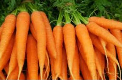 Carrots