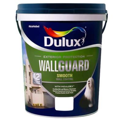 Dulux Wallguard White Paint