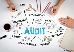Payroll Auditing