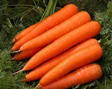 Carrots