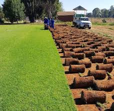 Instant lawn ( Durban, Kikuyu, Buffalo ) 