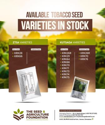 Tobacco Seeds