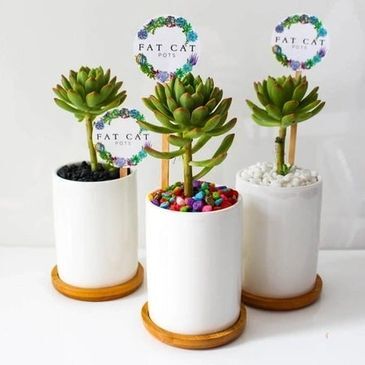 Corporate Gifts In as much as business are increasingly operating online and many processes are automating, the human touch remains critical in maintaining business relationships. A unique corporate gift will show your customers they mean more to you than just a number.