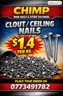 Clout Nails